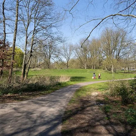 Light And Quiet Haven Next To Park