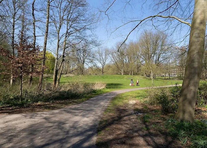 Light And Quiet Haven Next To Park